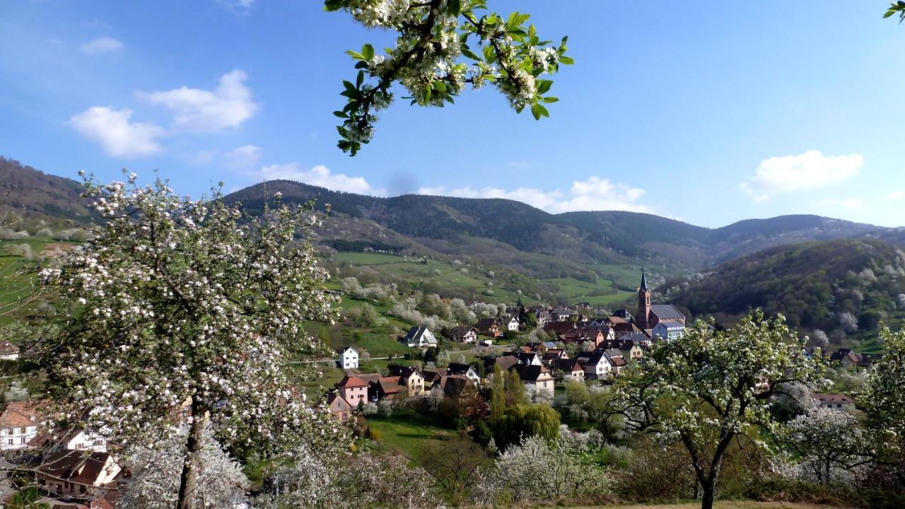 Les Gites La Cerisaie Breitenbach Zewnętrze zdjęcie